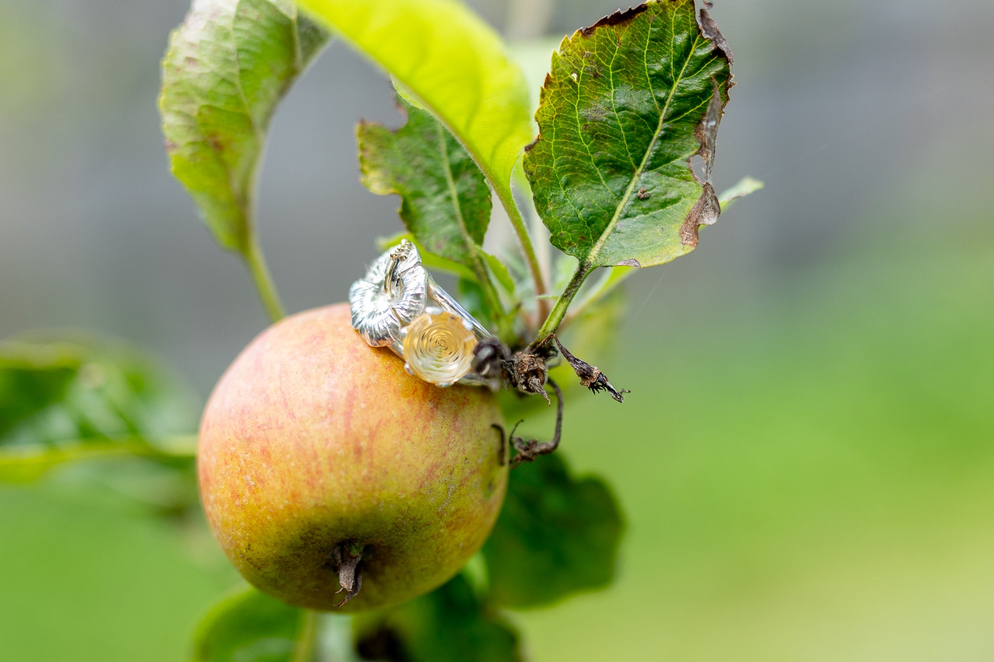 silver ring with hibiscus flower and unusual citrine stone that looks like a rose, resting on an apple with leaves