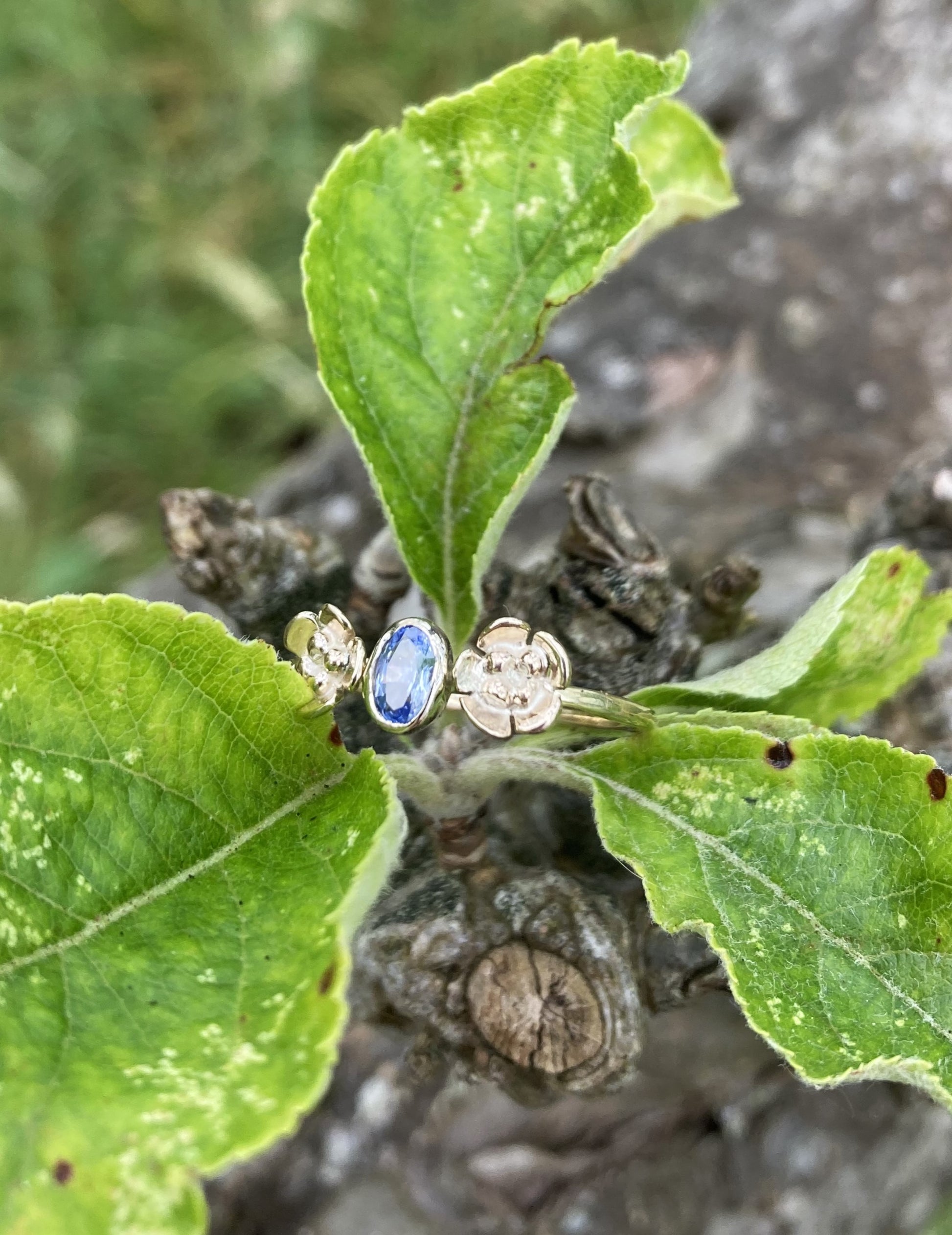 solitaire gold ring with bright blue sapphire and two  gold roses, resting in among green leaves